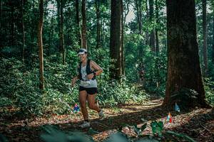 BIB: 
                            <button type="button" onclick="openModal(26131948)" class="btn btn-primary btn-sm float-right btn-popup" data-toggle="modal" data-target=".modal-high-quality">
                        <i class="fas fa-shopping-cart"></i> Add to Cart
                    </button>
                                            <button type="button" onclick="isThisMe(26131948, true)" class="btn btn-success btn-sm float-right btn-popup btn-isme hidden" data-toggle="tooltip" data-placement="bottom" title="นี่คือรูปของคุณใช่ไหม คลิกที่นี่เพื่อเอาเข้าอัลบั้ม">
                        <i class="fas fa-plus"></i> Add to album
                    </button>
                    <button type="button" onclick="isThisMe(26131948, false)" class="btn btn-warning btn-sm float-right btn-popup btn-isnotme hidden">
                        <i class="fas fa-ban"></i> Remove from album
                    </button>